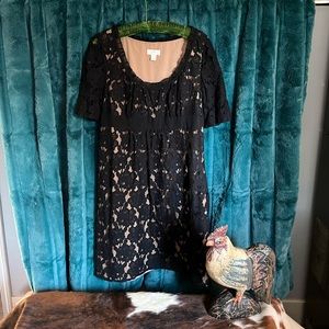 Ann Taylor Loft Black Lace Dress
